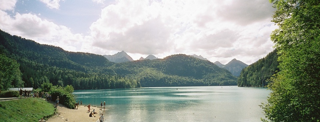 Alpine lake surrounded by pine forest